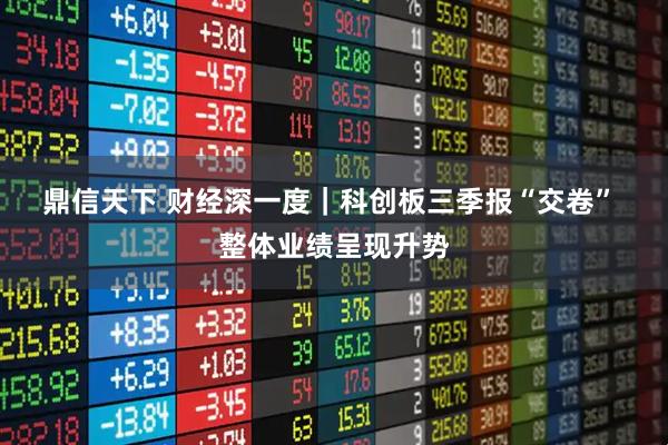 鼎信天下 财经深一度｜科创板三季报“交卷” 整体业绩呈现升势